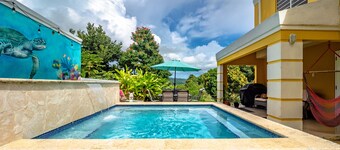 Unique Casa and Casita Heliconia- 2 separate properties and salt water spa. 