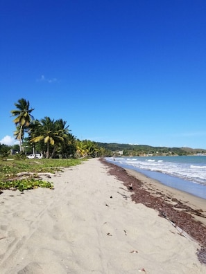 Beach nearby, sun-loungers, beach towels - Unique Casa and Casita Heliconia- 2 separate properties and salt water spa. (Naguabo)