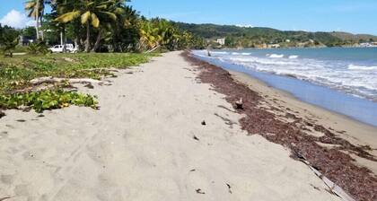 Unique Casa and Casita Heliconia- 2 separate properties and salt water spa.