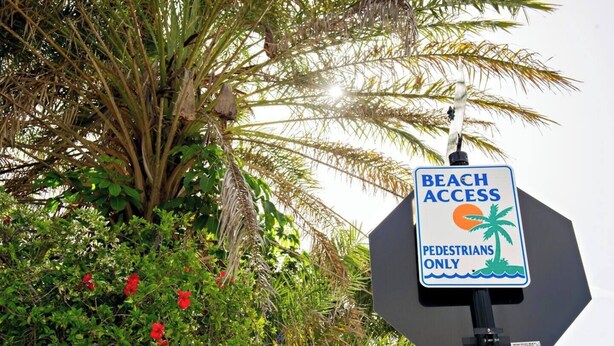 Un panneau indiquant l’accès à la plage, avec un palmier et des fleurs en arrière-plan.