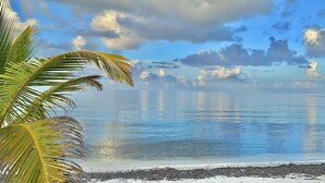 A beach with clear water, a palm tree, and a cloudy sky. - BEACH and POOL at Rum Point - North Side in most secluded and tranquil area (North Side)