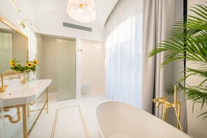 Bathtub, free toiletries, hair dryer, bidet