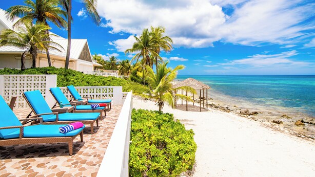 A beachside resort with lounge chairs, palm trees, and a clear view of the ocean.