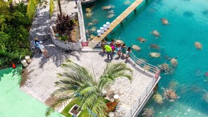 A pool area with a wooden deck, palm trees, and clear blue water.
