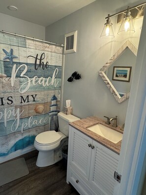Combined shower/bathtub, hair dryer
