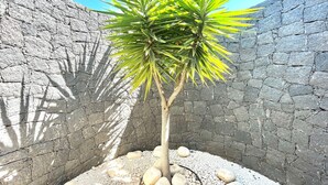A small tree with green leaves in a rocky, enclosed space. - Villas Mamma Mia Sleeps 6 with Pool (Playa Blanca)