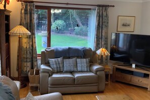 Televisión, chimenea y estéreo 