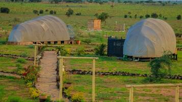 Two large, dome-shaped structures in a rural setting with a stone pathway leading to them.