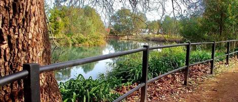 المنطقة المحيطة بالمنشأة