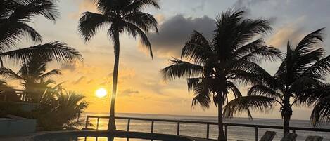 حمّام سباحة خارجي