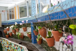 Een rij terra cotta potten met planten op een betegelde muur, een kleurrijk mozaïek eronder, en een raam met uitzicht.