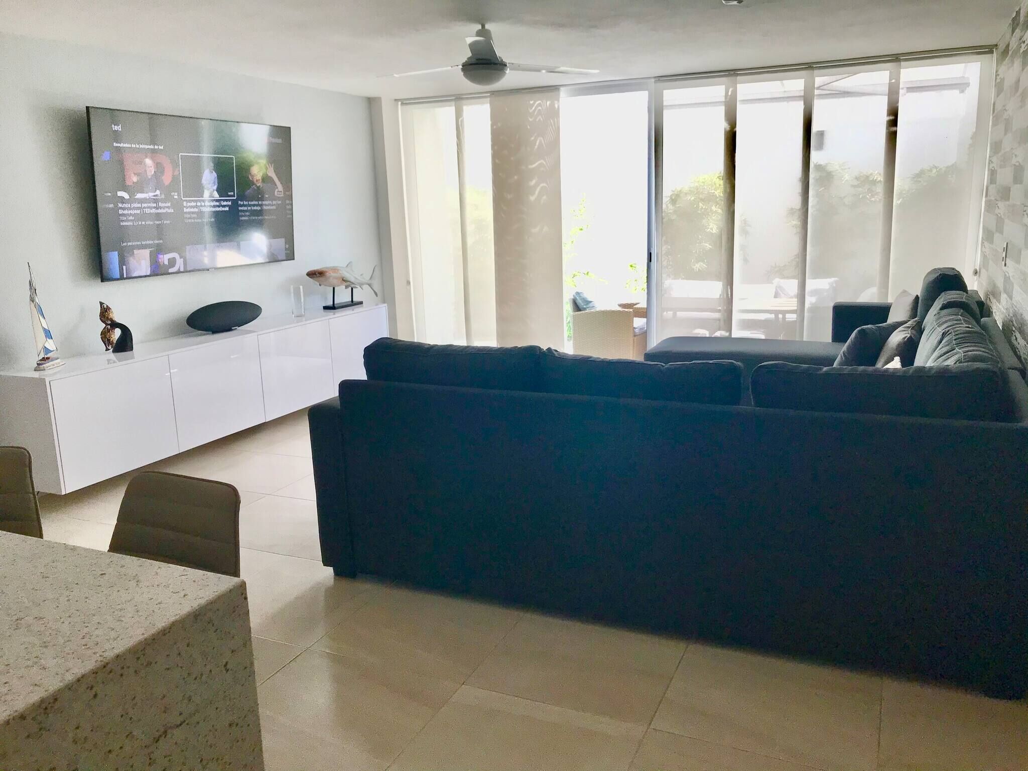 TV