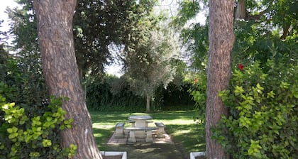 Chalet Enol Sol, with private pool