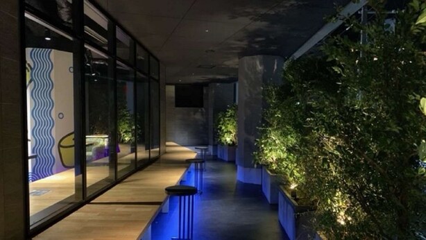 A modern corridor with glass walls, a blue-lit water feature, and a vertical garden.