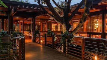 Eine Holzterrasse mit einem großen Baum in der Mitte, umgeben von Glasfenstern und -türen, die zu einem Innenraum führen.