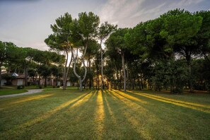 Property grounds - Bungalow in San Vincenzo with shared pool (San Vincenzo)