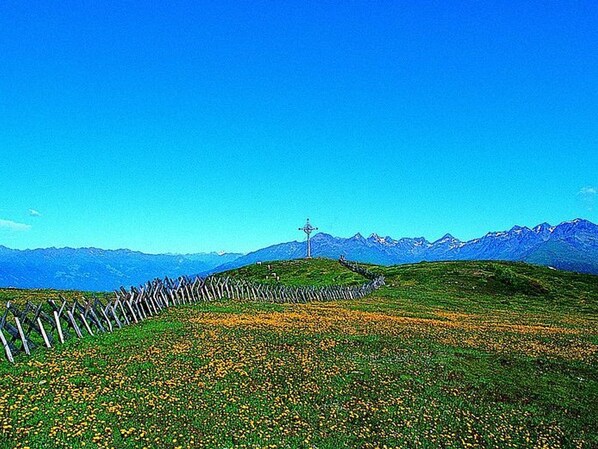 Imagen sin descripción, 1 de 40, botón