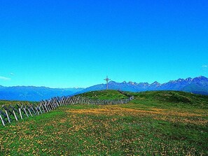 Nicht klassifiziertes Bild, 5 von 40, Schaltfläche