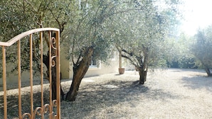 An outdoor area with a gravel path, metal gate, and olive trees. - Superb house with heated pool in a beautiful garden (Le Rouret)