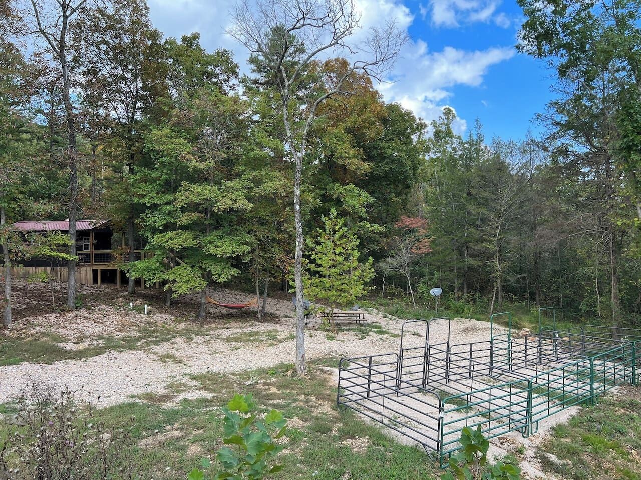 A fenced outdoor area with a picnic table and a hammock.