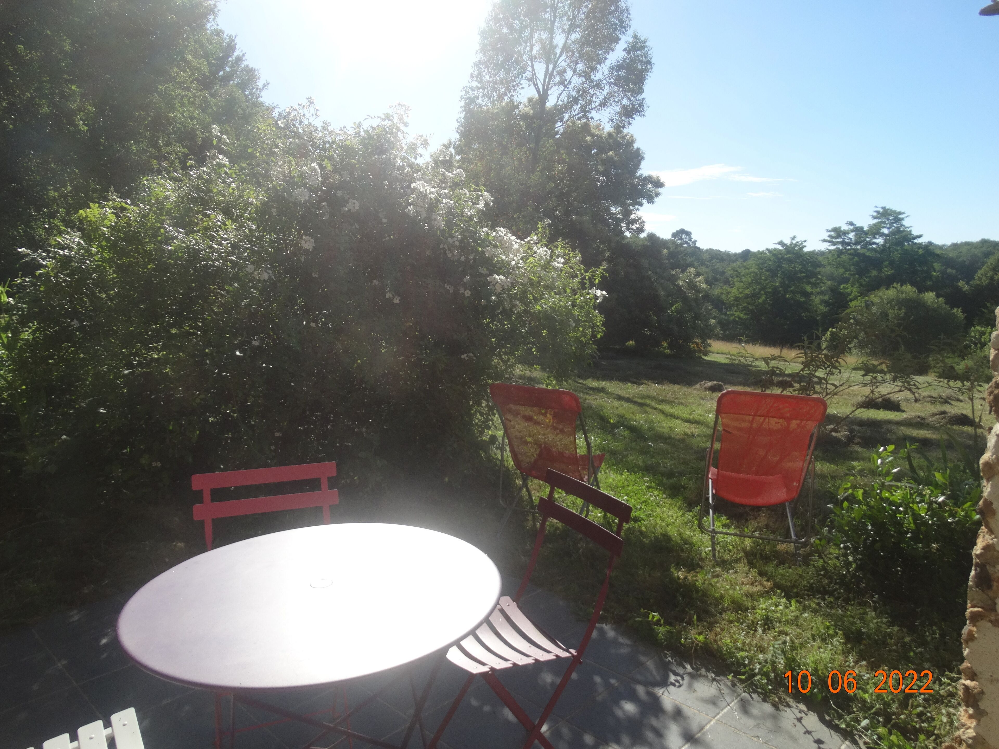 An outdoor patio with a round table and two red chairs, surrounded by greenery and trees.