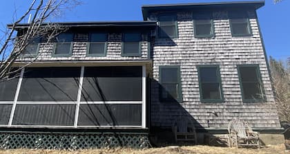 Acadia Chickadee's Nest
