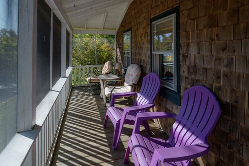 Acadia Chickadee's Nest