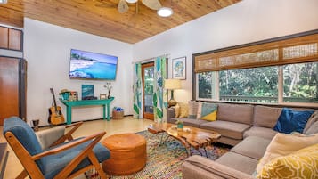 TV connectée, cheminée, lecteur de DVD, vidéothÚque