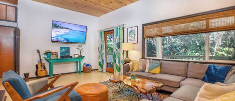 Älytelevisio, takka, DVD-soitin, videokirjasto