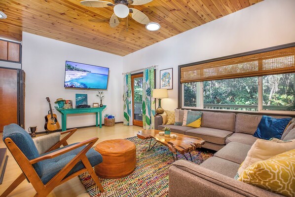 Smart TV, fireplace, DVD player, video library