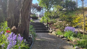Un chemin de jardin avec des marches menant à une maison, le tout entouré de différentes plantes et fleurs.