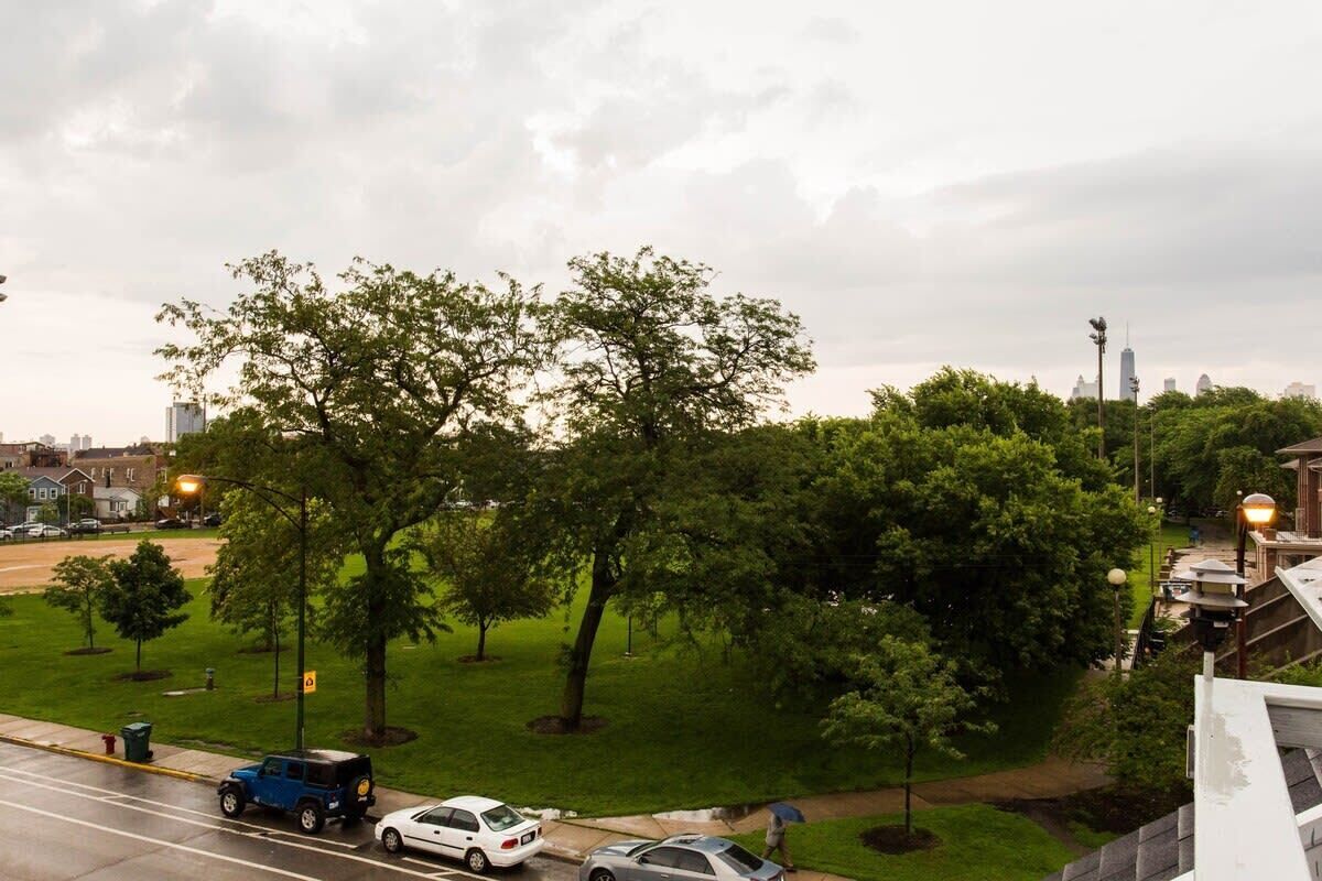 Zona verde con árboles y coches aparcados.