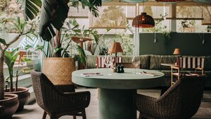 A cozy indoor seating area with wicker chairs, a round table, and potted plants. - Torel Terra Brava (Angra do Heroismo)
