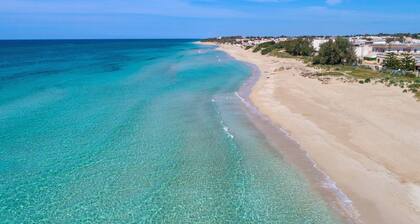 Mono Chicca Blu by BarbarHouse