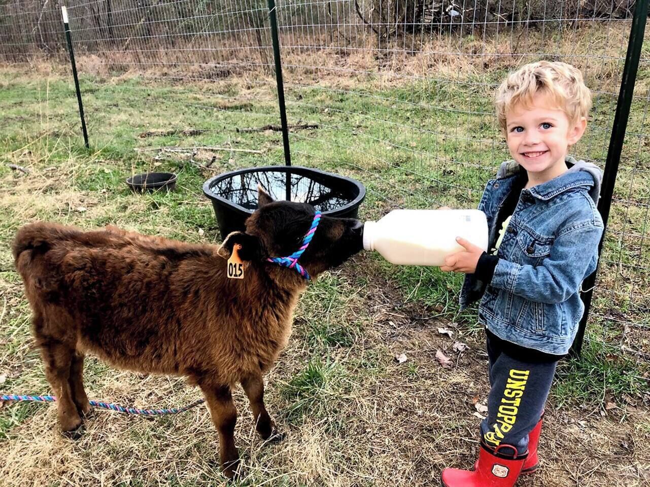 A person feeding a goat with a bottle.