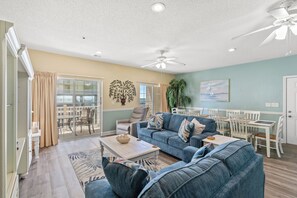 TV, video games, Netflix, DVD player