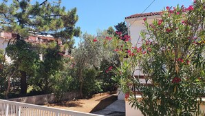 Un quartier résidentiel avec un bâtiment blanc, un jardin agrémenté de divers arbres et arbustes, et un ciel d’un bleu limpide.