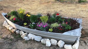 Cama de jardín con diversas plantas y flores, rodeada por un borde de piedra.