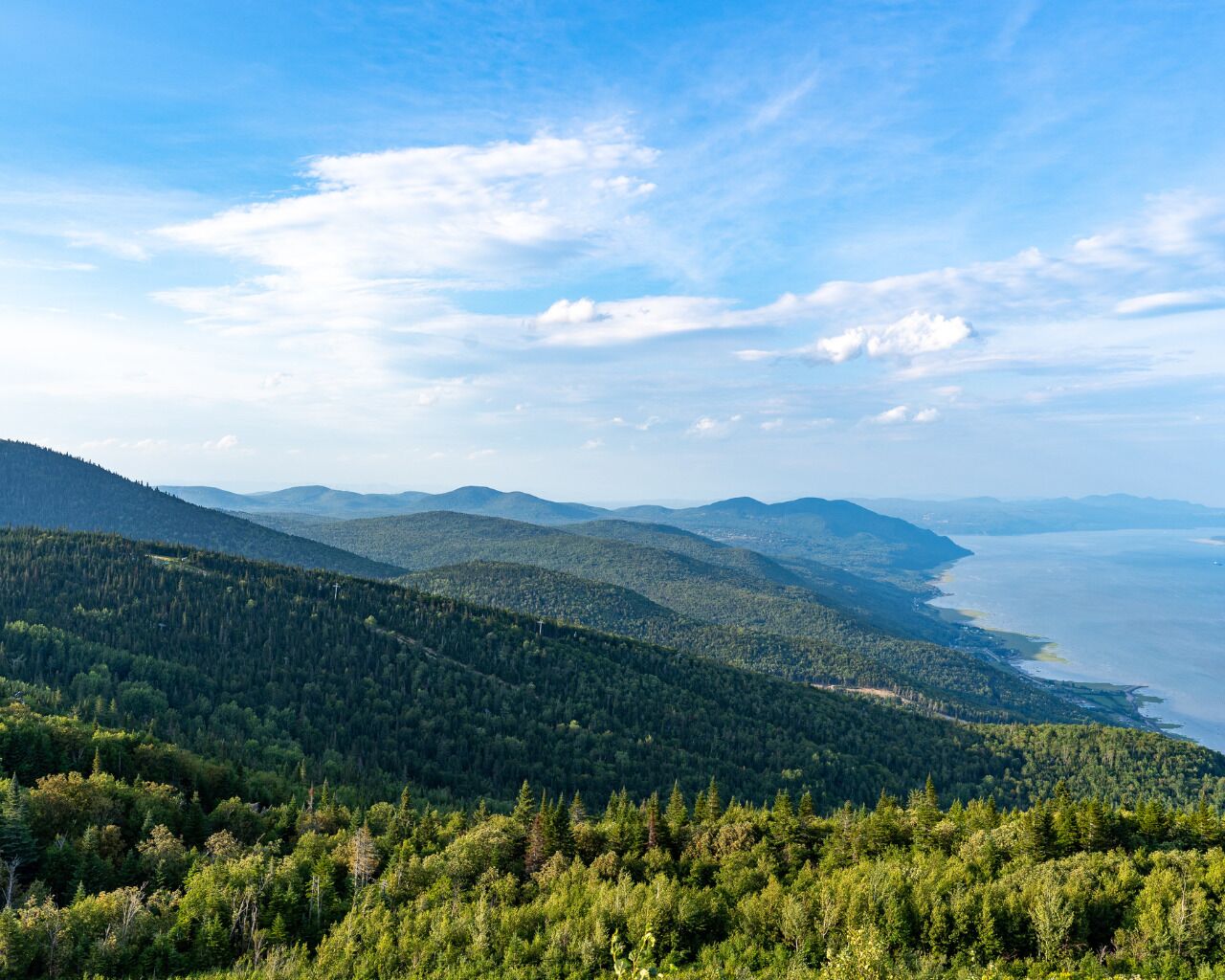 Eine gebirgige Landschaft mit dichten Wäldern und einer Küstenlinie.