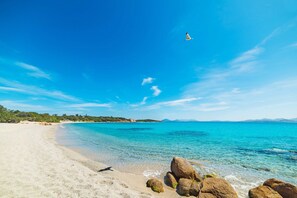 Una playa cerca