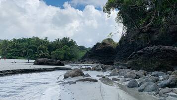 Une plage avec de gros rochers, une eau calme et des palmiers.