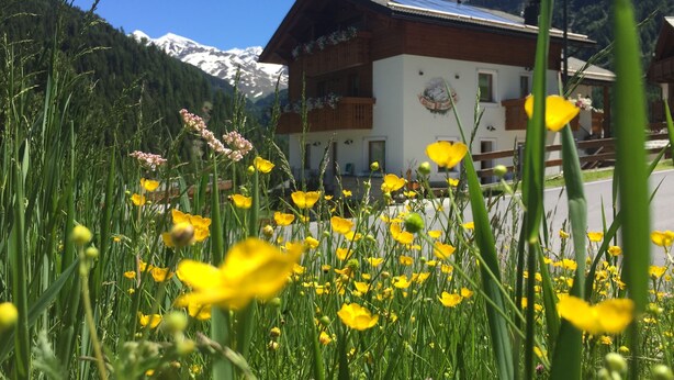 A mountain lodge with a wooden facade, a balcony, and a view of snow-capped mountains. - TWO-ROOM RELAX SPA SKI AND TREKKING IN THE ALPS (Santa Caterina)