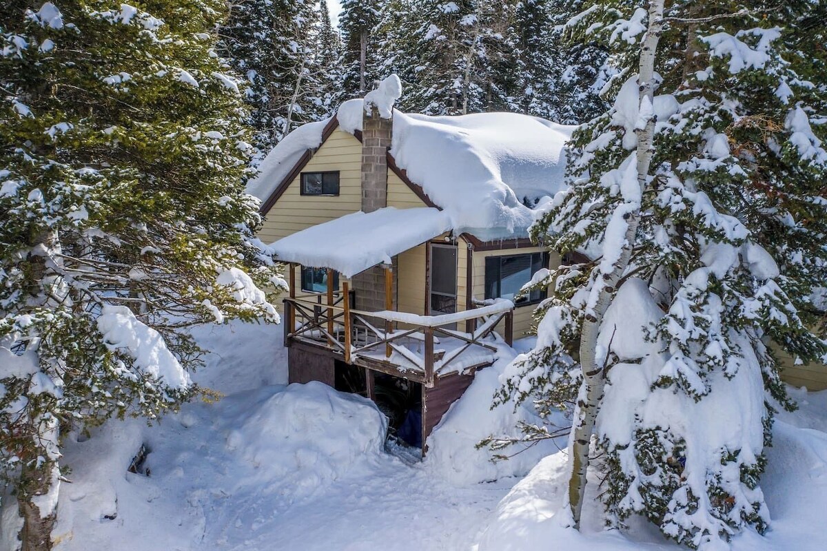 Imagen de perfil del propietario o de la propietaria