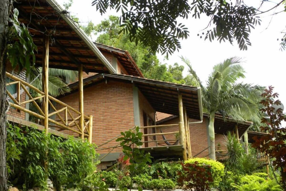 A rustic building with a bamboo staircase and a thatched roof.