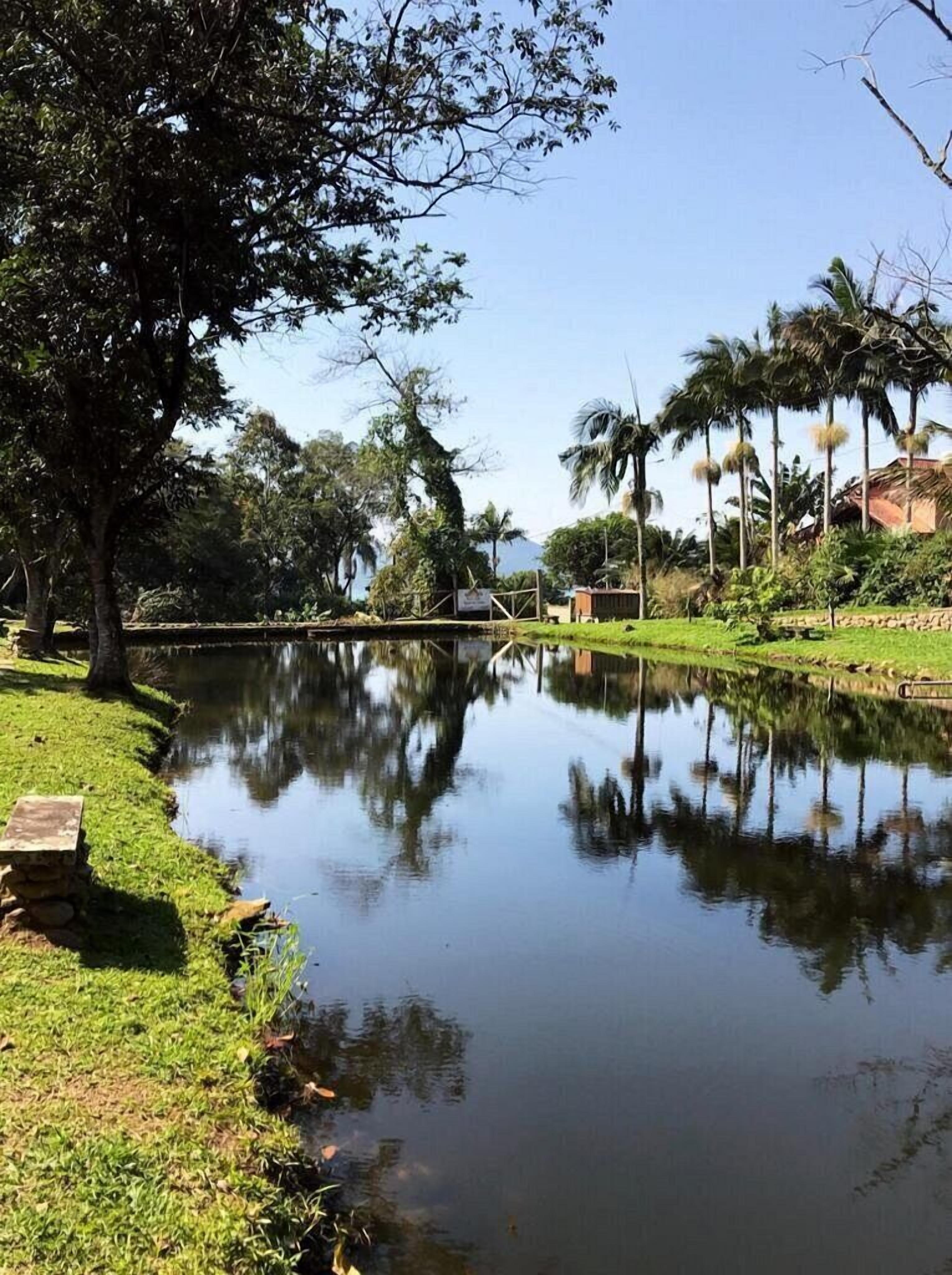 A calm water body with reflections, surrounded by greenery and trees.