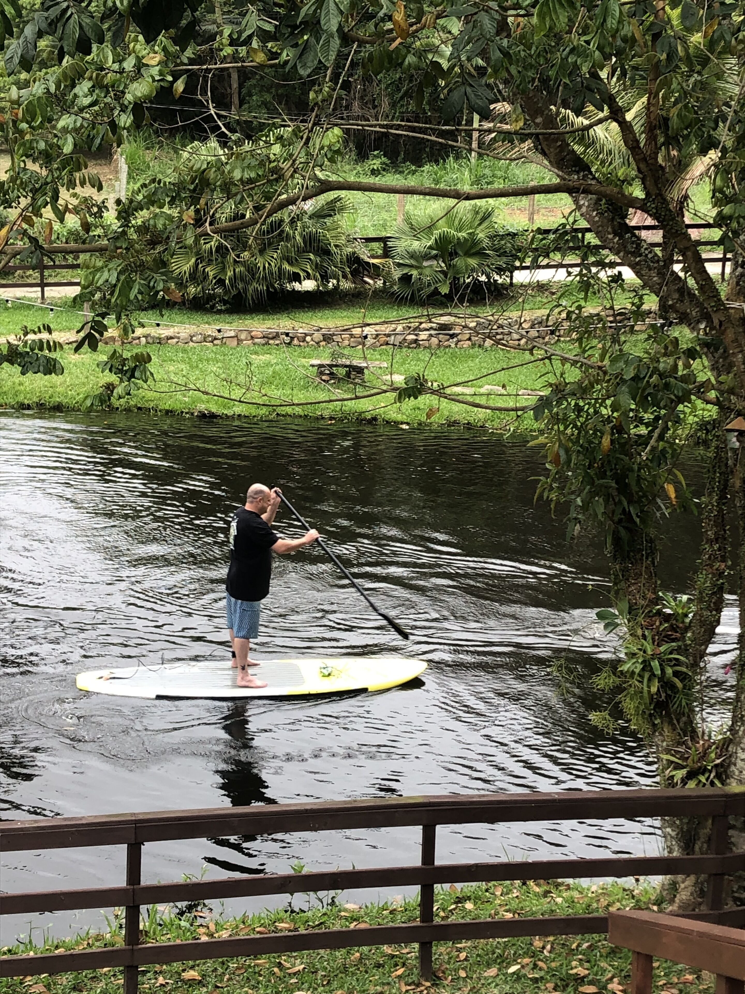 A person standing on a paddleboard in a body of water, surrounded by greenery and a wooden fence.