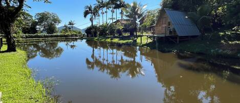 A calm lake with reflections of trees and a wooden house with a metal roof.