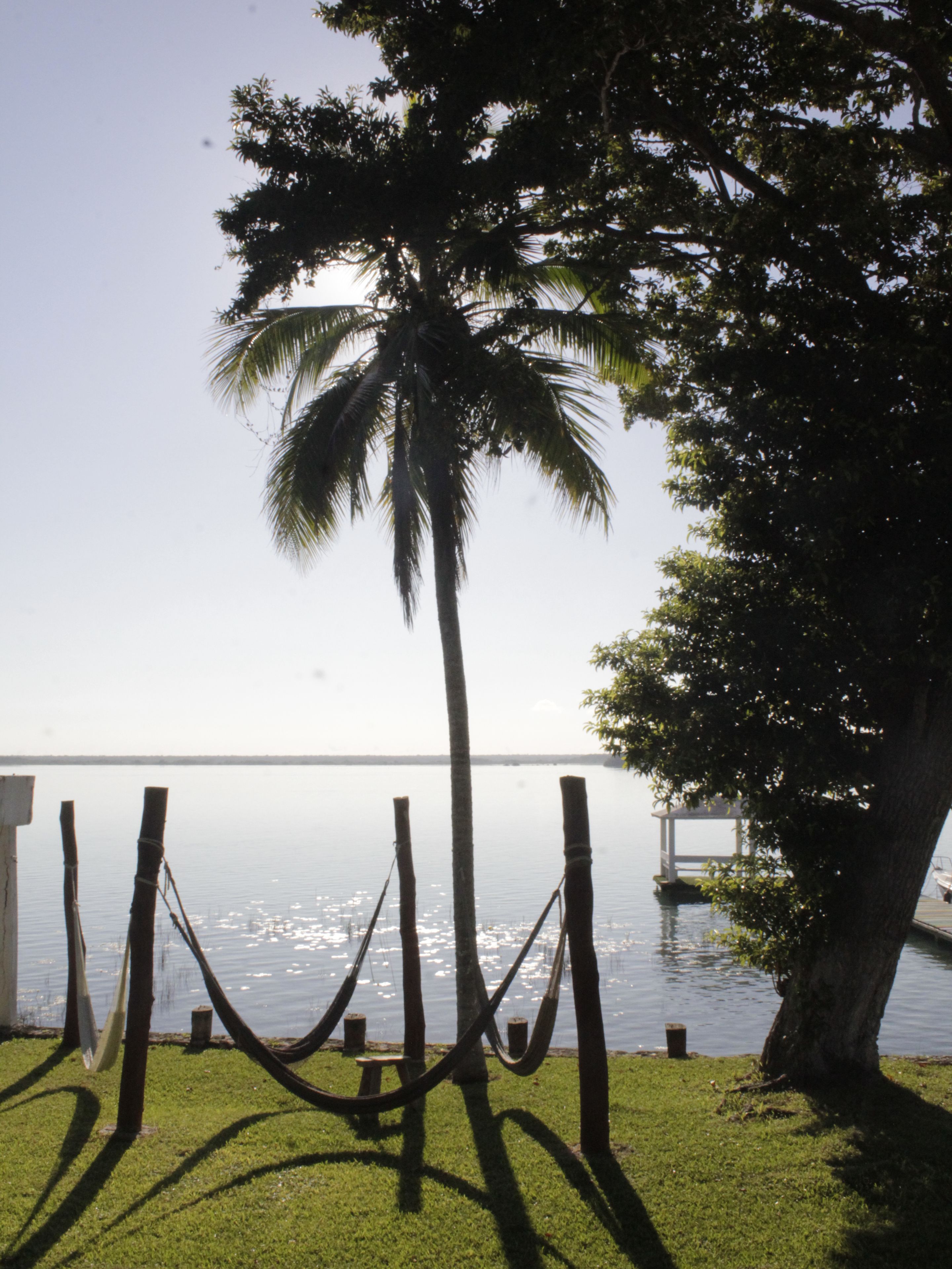 A hammock tied between trees by a calm body of water, with a clear sky above.