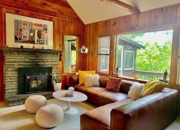 Smart TV, fireplace, books