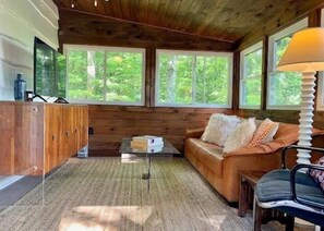 Smart TV, fireplace, books